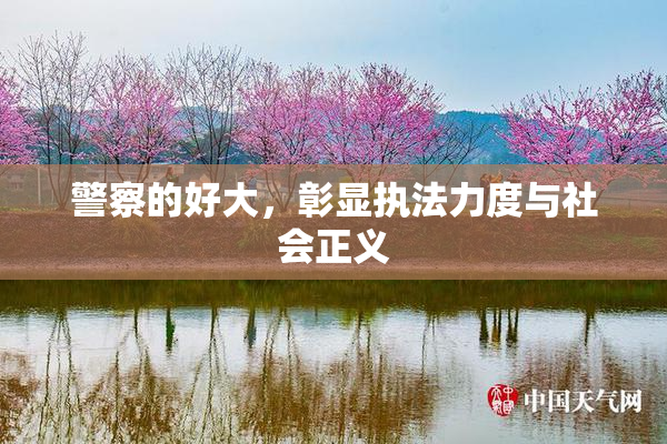 警察的好大，彰显执法力度与社会正义