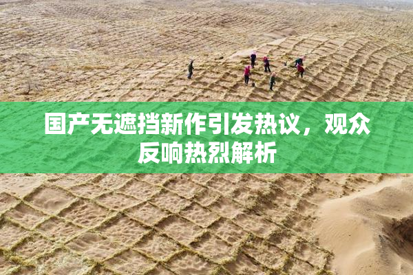 国产无遮挡新作引发热议，观众反响热烈解析