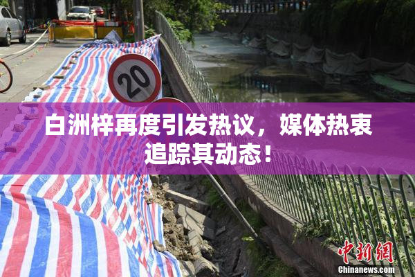 白洲梓再度引发热议，媒体热衷追踪其动态！