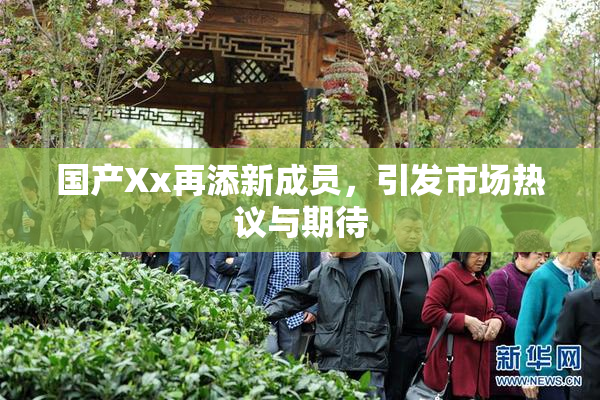 国产Xx再添新成员，引发市场热议与期待