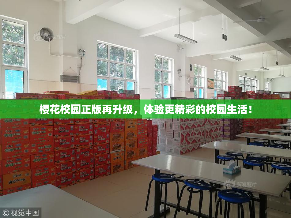 樱花校园正版再升级，体验更精彩的校园生活！