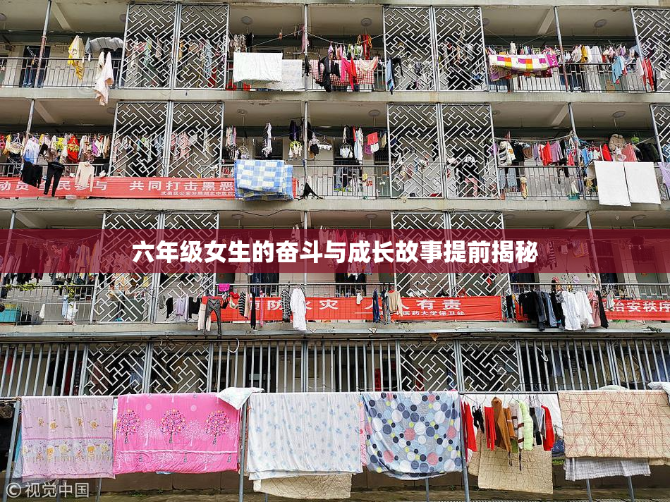 六年级女生的奋斗与成长故事提前揭秘