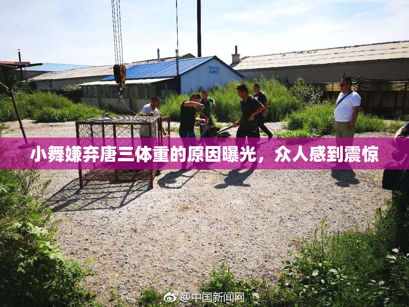 小舞嫌弃唐三体重的原因曝光，众人感到震惊