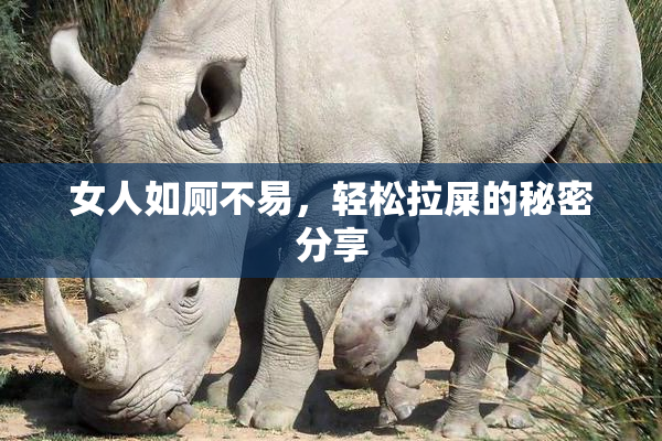 女人如厕不易，轻松拉屎的秘密分享