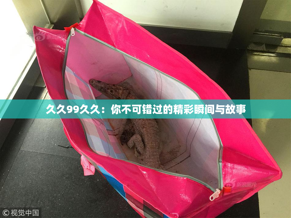 久久99久久：你不可错过的精彩瞬间与故事