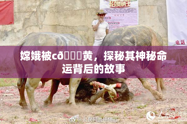 嫦娥被c🔞黄，探秘其神秘命运背后的故事