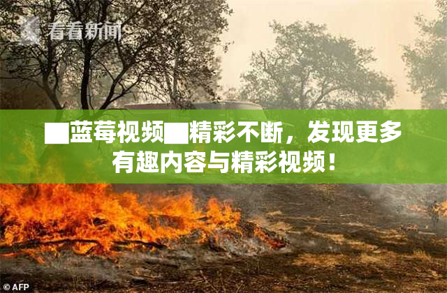 ▇蓝莓视频▇精彩不断，发现更多有趣内容与精彩视频！