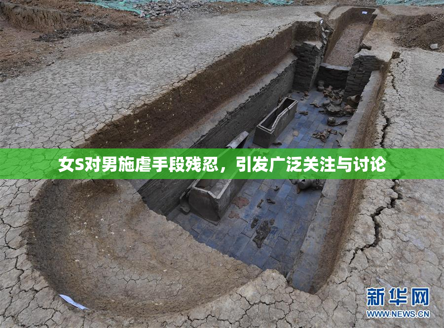 女S对男施虐手段残忍，引发广泛关注与讨论