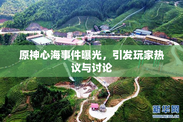 原神心海事件曝光，引发玩家热议与讨论