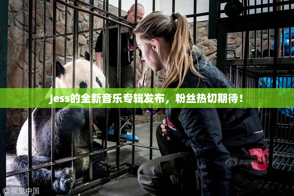 Jess的全新音乐专辑发布，粉丝热切期待！
