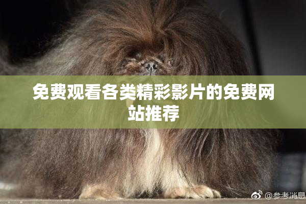 免费观看各类精彩影片的免费网站推荐