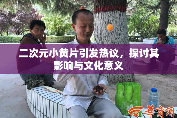 二次元小黄片引发热议，探讨其影响与文化意义