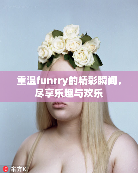 重温funrry的精彩瞬间，尽享乐趣与欢乐