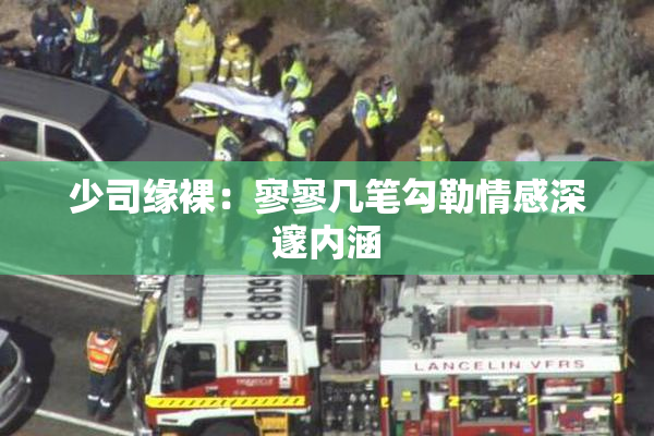 少司缘裸：寥寥几笔勾勒情感深邃内涵