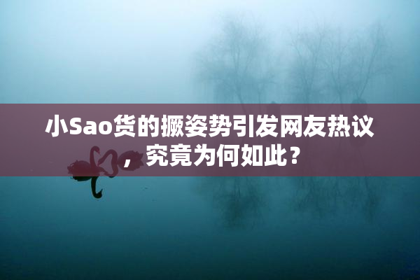 小Sao货的撅姿势引发网友热议，究竟为何如此？