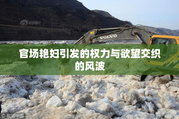 官场艳妇引发的权力与欲望交织的风波