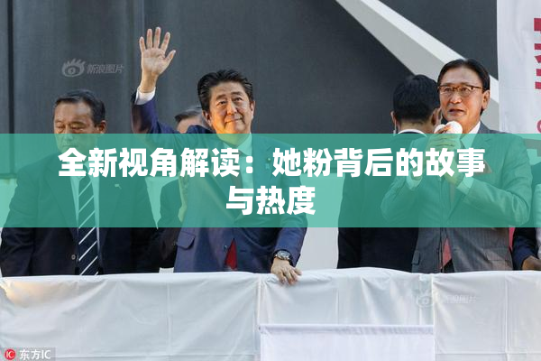 全新视角解读：她粉背后的故事与热度