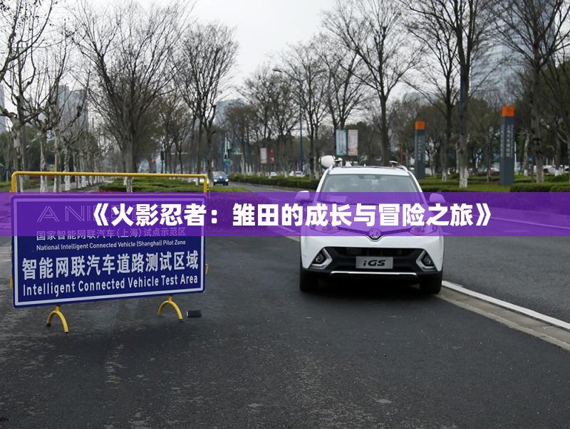 《火影忍者：雏田的成长与冒险之旅》