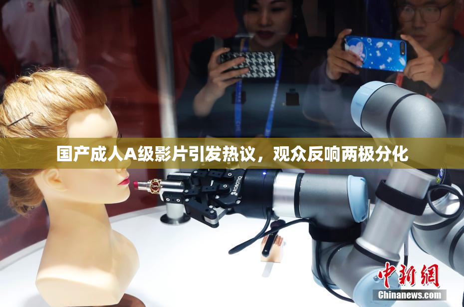 国产成人A级影片引发热议，观众反响两极分化