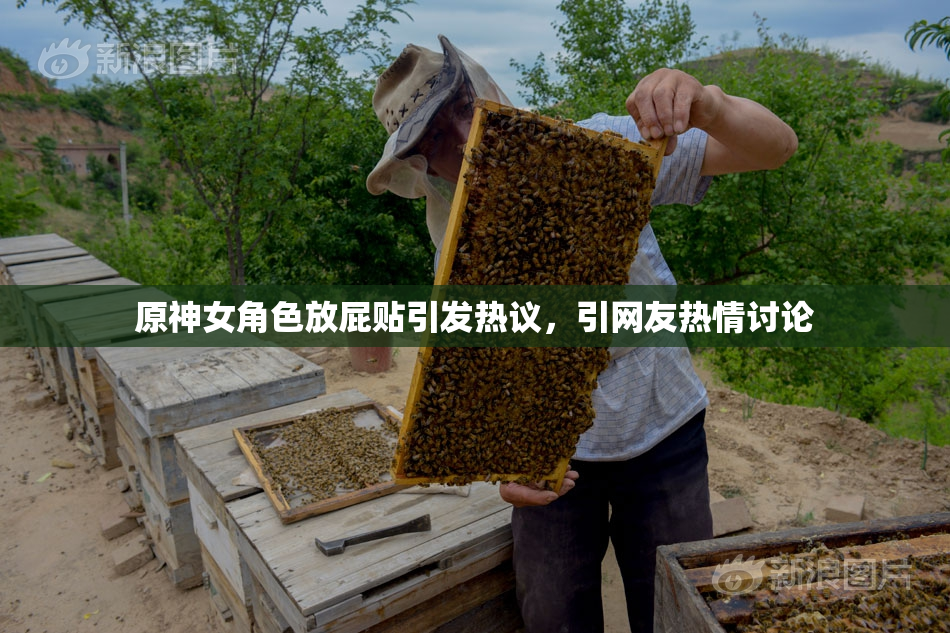 原神女角色放屁贴引发热议，引网友热情讨论