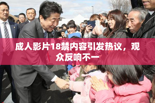 成人影片18禁内容引发热议，观众反响不一
