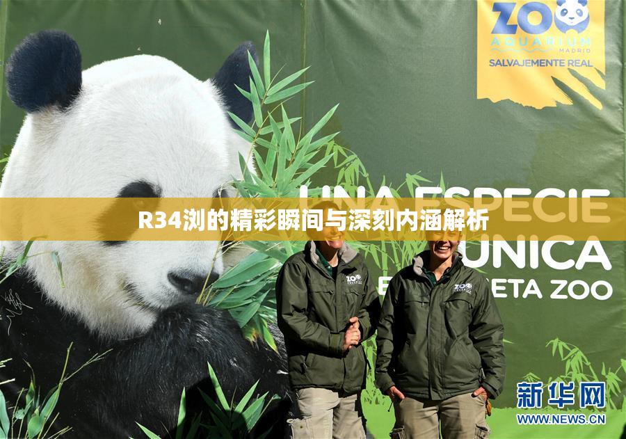R34浏的精彩瞬间与深刻内涵解析