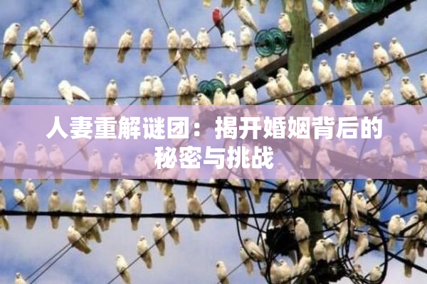 人妻重解谜团：揭开婚姻背后的秘密与挑战