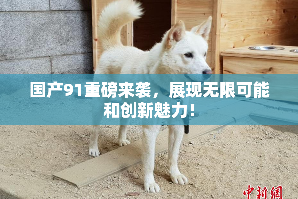 国产91重磅来袭，展现无限可能和创新魅力！