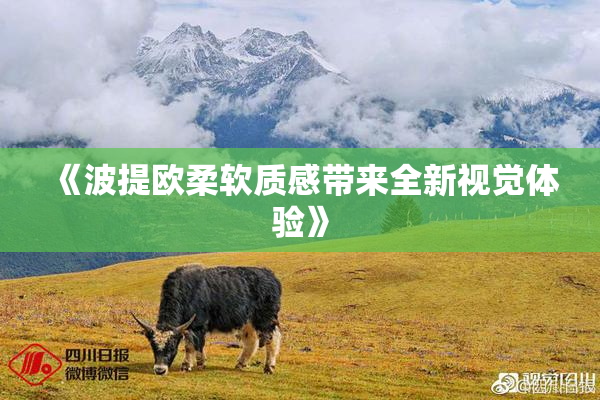 《波提欧柔软质感带来全新视觉体验》