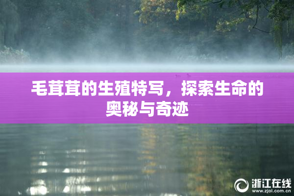 毛茸茸的生殖特写，探索生命的奥秘与奇迹