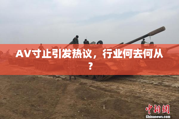 AV寸止引发热议，行业何去何从？