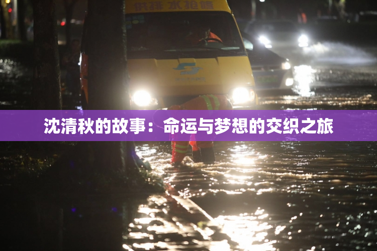 沈清秋的故事：命运与梦想的交织之旅