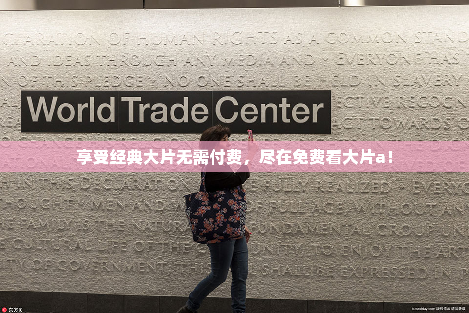 享受经典大片无需付费，尽在免费看大片a！