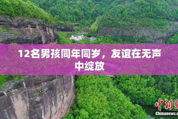12名男孩同年同岁，友谊在无声中绽放