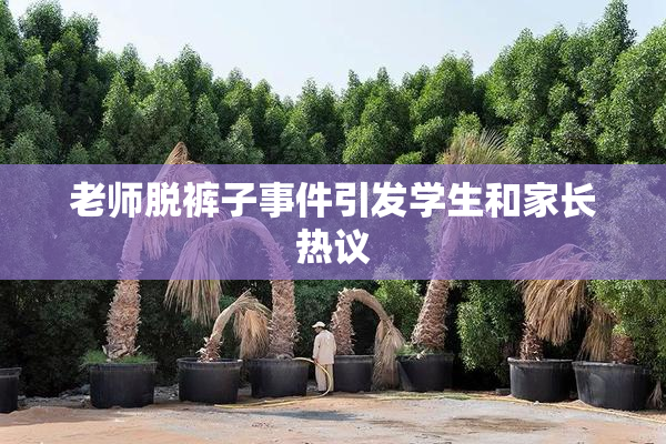 老师脱裤子事件引发学生和家长热议