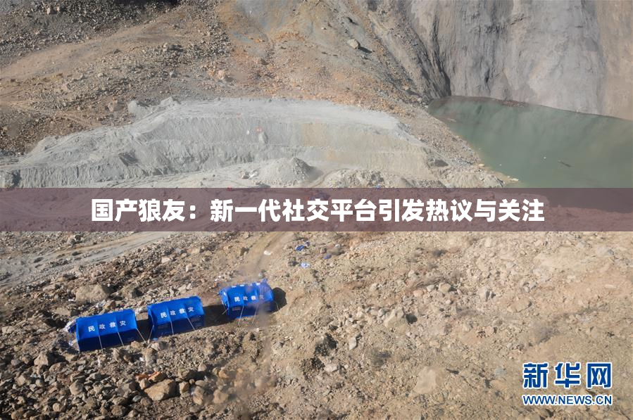 国产狼友：新一代社交平台引发热议与关注