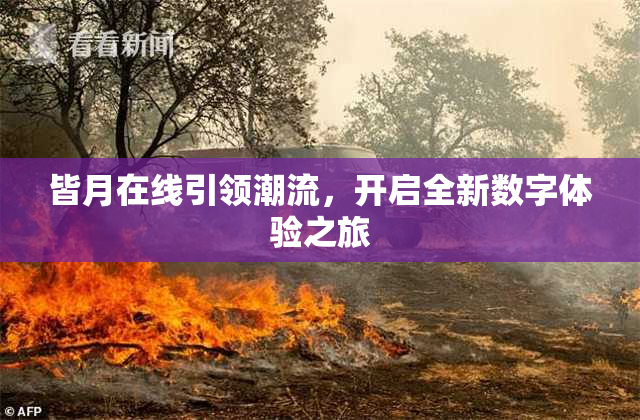 皆月在线引领潮流，开启全新数字体验之旅