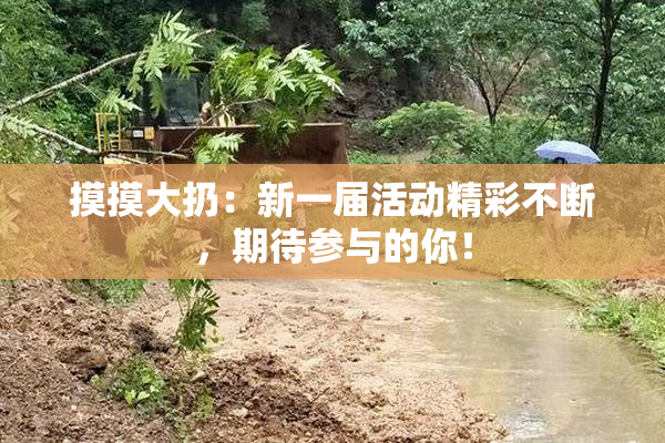摸摸大扔：新一届活动精彩不断，期待参与的你！