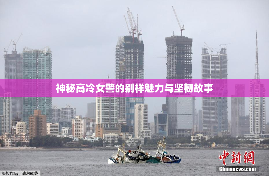 神秘高冷女警的别样魅力与坚韧故事