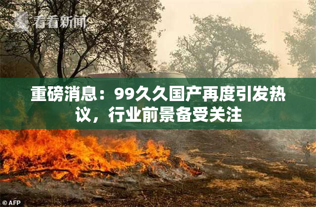 重磅消息：99久久国产再度引发热议，行业前景备受关注
