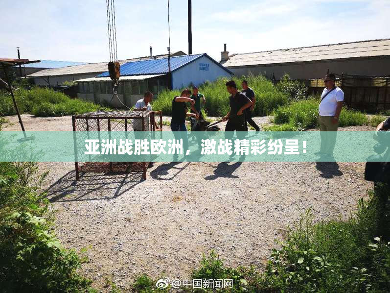 亚洲战胜欧洲，激战精彩纷呈！
