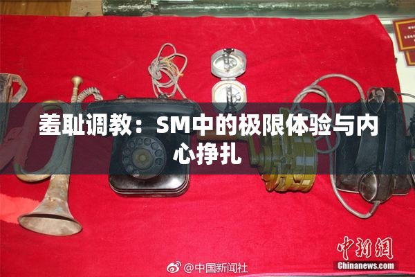 羞耻调教：SM中的极限体验与内心挣扎
