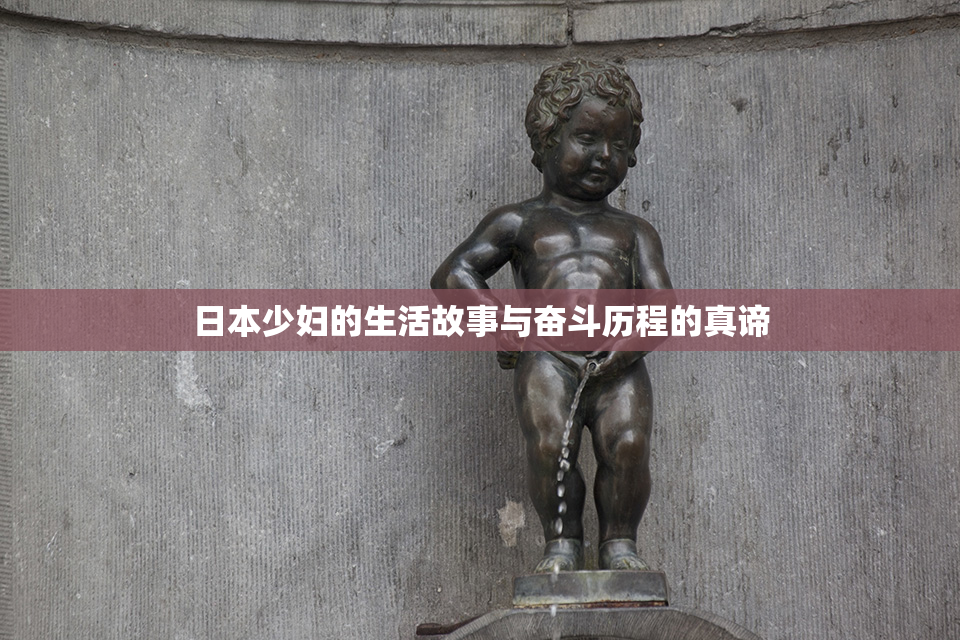 日本少妇的生活故事与奋斗历程的真谛