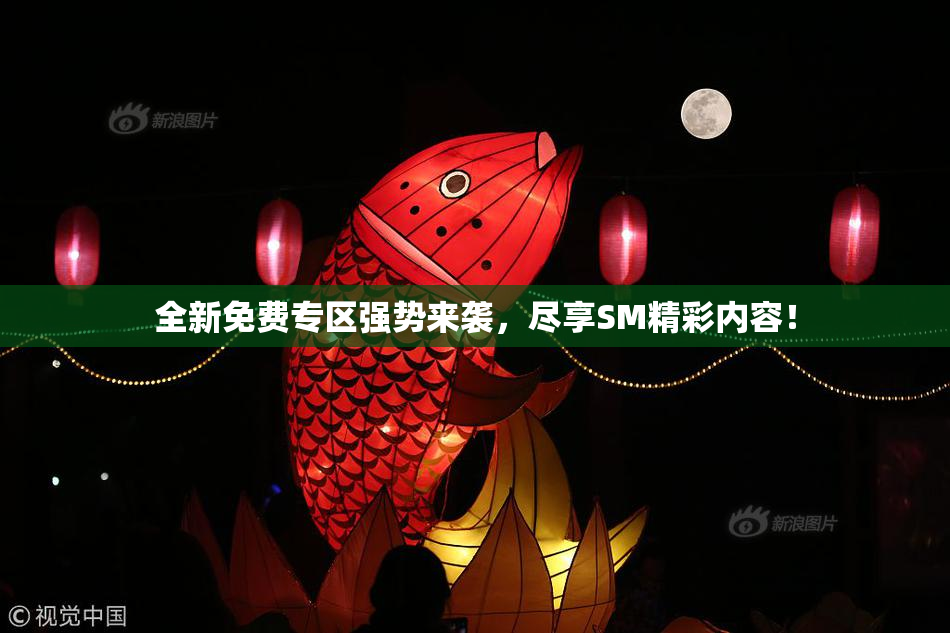 全新免费专区强势来袭，尽享SM精彩内容！