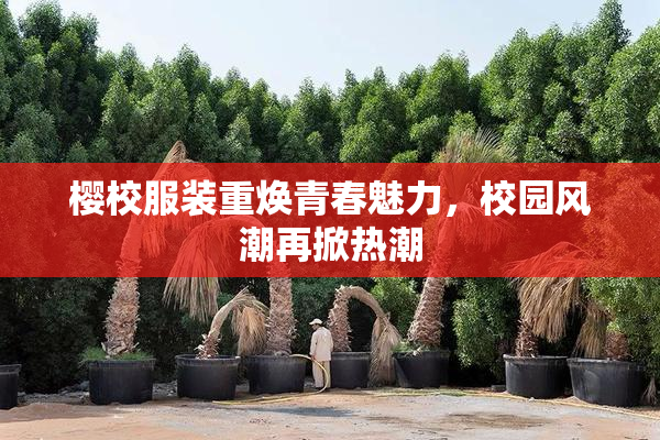 樱校服装重焕青春魅力，校园风潮再掀热潮