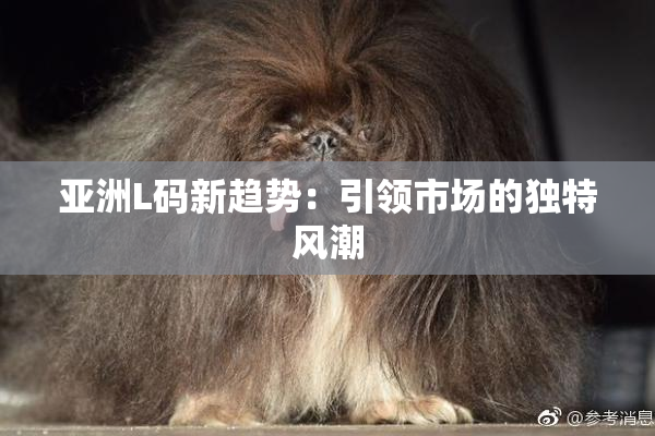 亚洲L码新趋势：引领市场的独特风潮