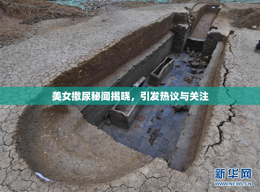 美女撒尿秘闻揭晓，引发热议与关注