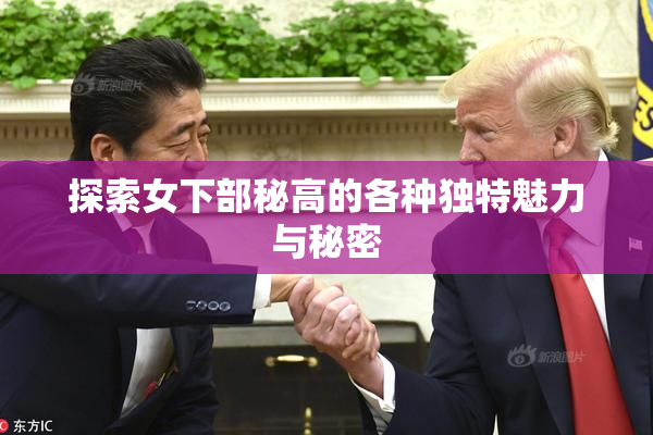 探索女下部秘高的各种独特魅力与秘密