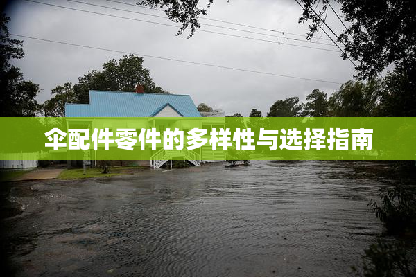 伞配件零件的多样性与选择指南