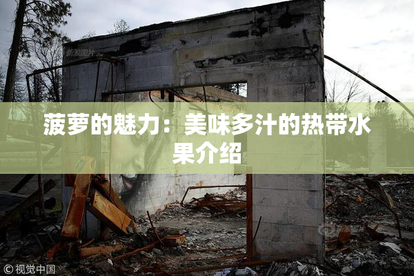 菠萝的魅力：美味多汁的热带水果介绍